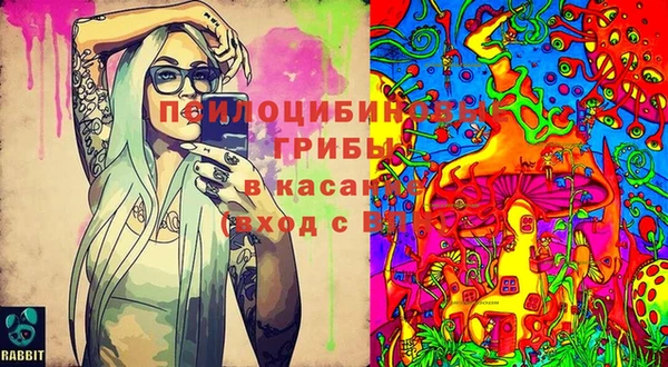 эйфоретик Заволжье