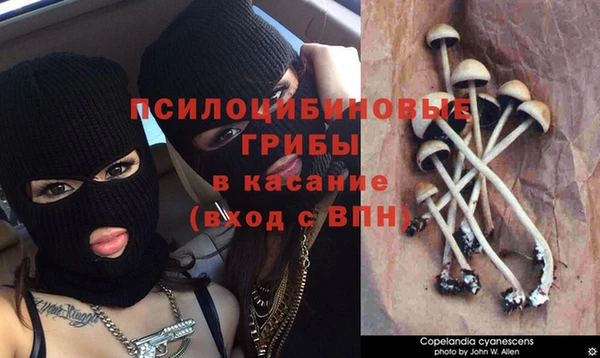 эйфоретик Заволжье