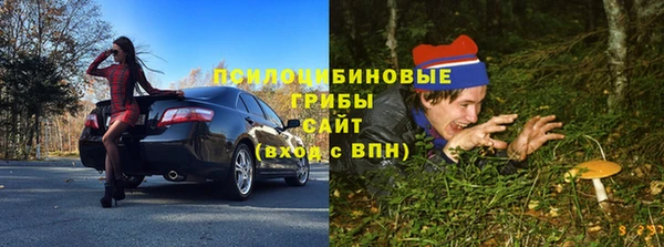 mdma Заводоуковск